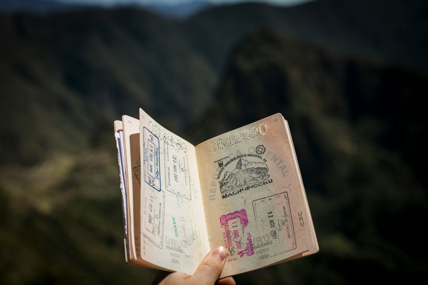 Mano che tiene un passaporto aperto che rivela timbri di viaggio internazionali colorati.